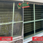 Window cleaning transformation with moldy glass cleaned to spotless finish by pressure washing experts