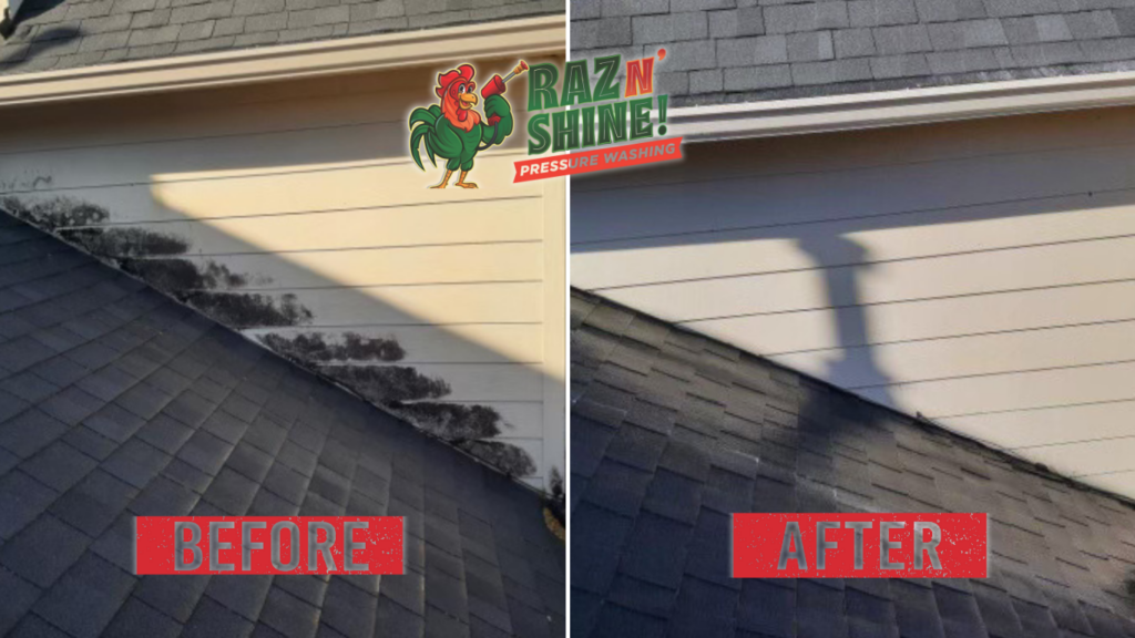 roof and gutter cleaning services in Missouri City TX before and after removing black algae from roof shingles