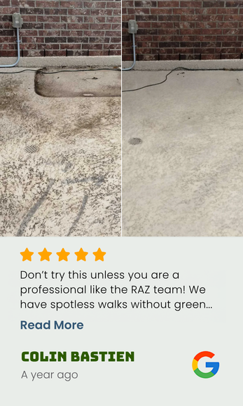David and his crew did an amazing job on soft washing my home. I didn't realize how much my home needed a.. (5)